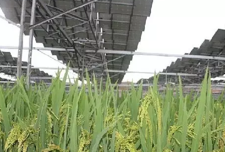 夏季能提高光伏電站發(fā)電量不假，但也會(huì )降低發(fā)電量！用戶(hù)該怎么辦？