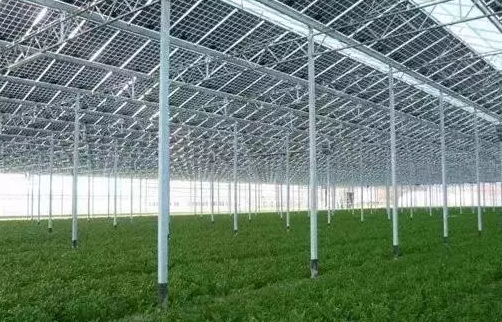 光伏農業(yè)+溫室大棚 四重優(yōu)勢下一種全新的發(fā)展模式