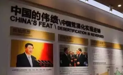 光伏板下搞養殖拼出“沙漠綠洲” 給21億人帶來(lái)希望！