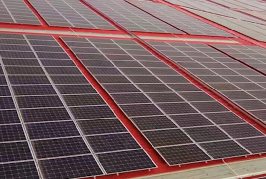 天愛(ài)能源攜手鎮江港能電力聯(lián)手打造濰坊10MW綠色工程