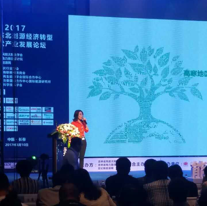 高寒地區挑戰多？分布式項目光伏逆變器的可靠性是關(guān)鍵！