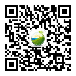 PVIC 2017光伏創(chuàng )新大會(huì )將于11月8日-9日在上海舉辦
