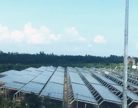 一期45MW！廣西首個(gè)海水漁光互補光伏電站并網(wǎng)發(fā)電