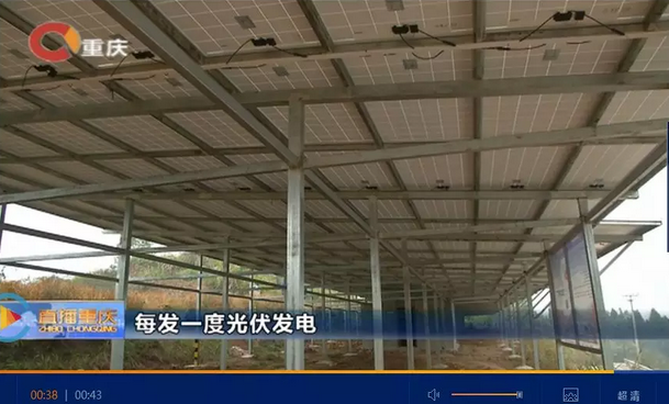 光伏發(fā)電又多了一項補貼！二氧化碳零排放補貼！