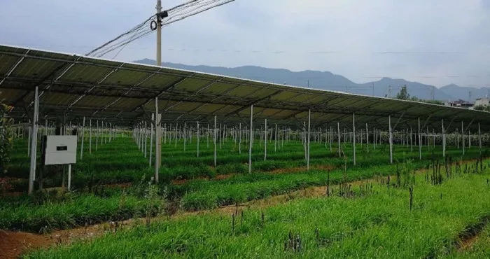 商洛市3MW農光互補項目成示范，首航逆變器穩定助力，業(yè)主收益有保障