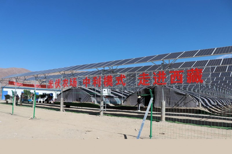 中利集團：“貧困村光伏農場(chǎng)”惠及西藏深度貧困地區