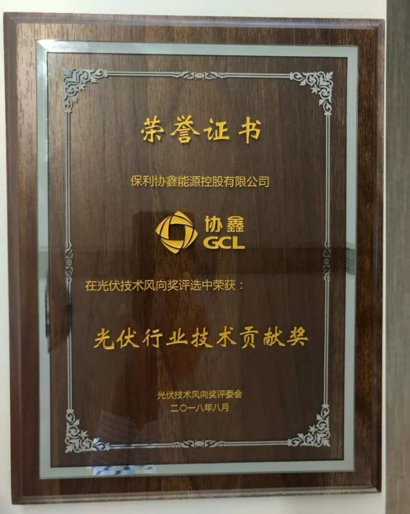 引領(lǐng)黑硅高效光伏，保利協(xié)鑫榮膺“光伏行業(yè)技術(shù)貢獻獎”