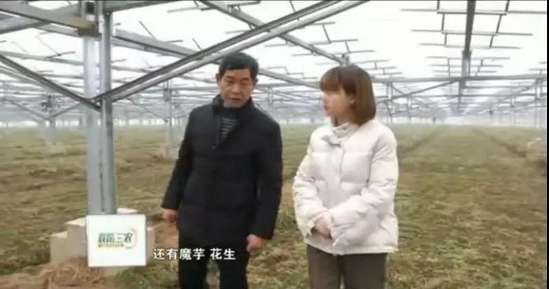 　　據央視記者報道，近日，錦浪科技助力湖北省宜城王集鎮觀(guān)音村，采用典型的“農光互補”模式，實(shí)現了全村人共同“生態(tài)收益”的目標，引起了廣大人民群眾的熱烈反響。 　　 　　走進(jìn)光伏電站區，首先映入眼簾的是一片藍汪汪的光伏海洋，一望無(wú)際，若是走近仔細一看，才發(fā)現這么一大片區域里不完全是光伏板，原來(lái)在光伏板下邊還有另一片“柳暗花明”的天地，綠油油的青菜鋪滿(mǎn)整塊地面實(shí)在好看極了。 　　 　　據記者報道，這便是觀(guān)音村這兩年響應國家“精準扶貧”和“光伏扶貧”政策，投資2億元建成20MWP“農光互補”地面光伏電站。此電站光伏支架采用的是同景新能源的跟蹤支架，逆變器采用了錦浪科技公司的50kW逆變器，以它相對較小的外形，為運輸免去了不少成本，提供了便捷安裝；4路MPPT接入，每路額定28.5A，兼容大功率組件，設計更靈活；充分的冗余設計保障逆變器長(cháng)壽命可靠運行。 　　 　　同景新能源有限公司總經(jīng)理郤維平在現場(chǎng)對記者解釋?zhuān)?ldquo;我們主要的優(yōu)勢是跟蹤，我們有500臺跟蹤器可以自動(dòng)跟蹤，也就是我們常說(shuō)的‘光伏板跟著(zhù)太陽(yáng)走’，這樣他與其它電站相比，它是固定式的，我們的發(fā)電量同比要增加20%。”他接著(zhù)說(shuō)道，“我們不破壞土地，活動(dòng)支架，我們平時(shí)看到的可能都是打樁式的，而我們這個(gè)是小水泥塊，直接放在土地表面，可以自由移動(dòng)。”這種獨特安全的安裝方式得到農民的大力支持。 　　 　　據現場(chǎng)村民說(shuō)，這里的主要農作物有黃精，桔梗，花生，魔芋等，以黃精價(jià)值尤為突出，黃精作為一種名貴藥材喜歡蔭涼，所以光伏板既全方位吸收了太陽(yáng)能，又很好的為農作物起到了遮陽(yáng)的作用；它的生長(cháng)周期需要兩三年，然而價(jià)值非?？捎^(guān)，給他們帶來(lái)相當不錯的收益。 　　 　　王集鎮觀(guān)音村這種典型的“農光互補”模式，正是利用較少的投資獲得更多的利益，實(shí)現了“光伏脫貧”的“生態(tài)效益”的目的，還讓當地農民每年有了一份固定的收入。據統計，一畝地一年能收入5萬(wàn)元，人均年收入可達2.5萬(wàn)元以上。 　　 　　國家近年來(lái)推行的“光伏扶貧”政策越來(lái)越深入人心，讓一批又一批的農民走上了脫貧致富的道路，我們也希望更多的農民能夠利用這種“農光互補”的模式，早日擺脫貧困生活，實(shí)現共同富裕。