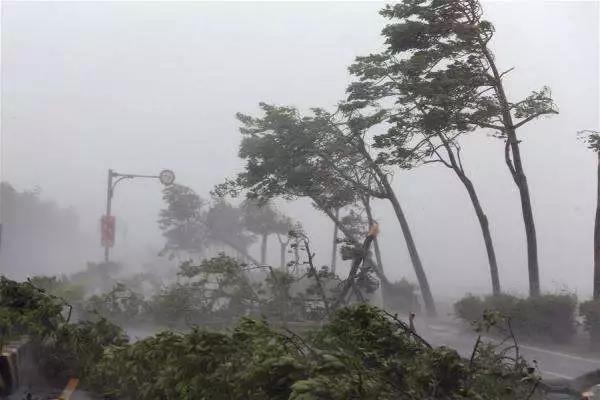 山竹肆掠： 臺風(fēng)天，光伏電站如何將損失降至最低