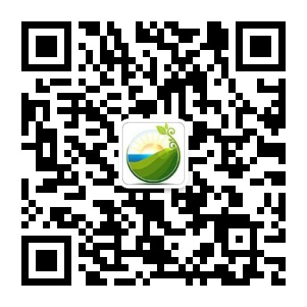 PV現代光伏